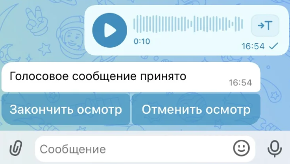 Если нужно, запишите голосовое сообщение